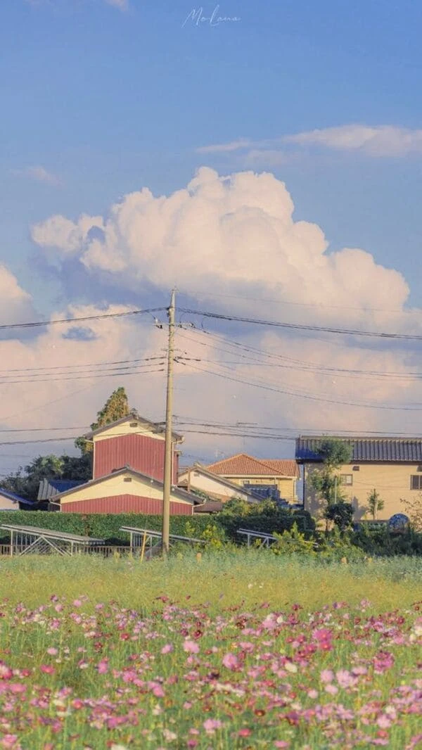 Hình nền đẹp vintage cho điện thoại