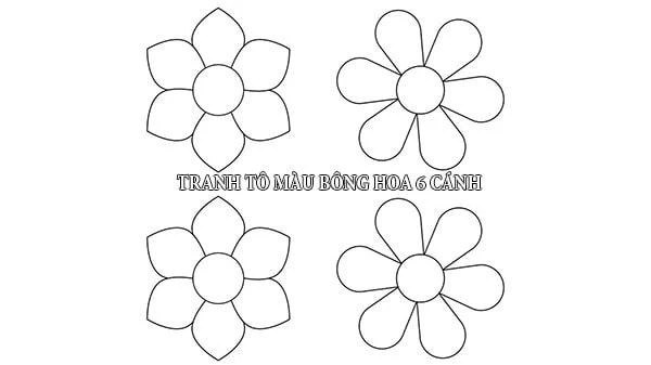Hình ảnh hoa vẽ