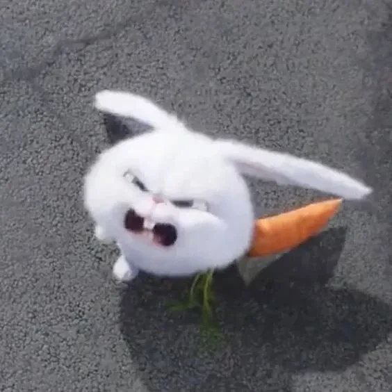 Thỏ meme nổi điên