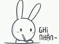 Meme thỏ vui nhộn