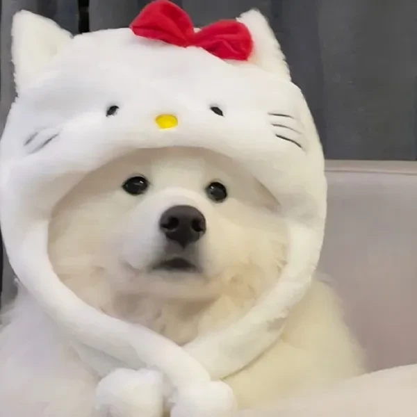 Bộ Sưu Tập Avatar Chó