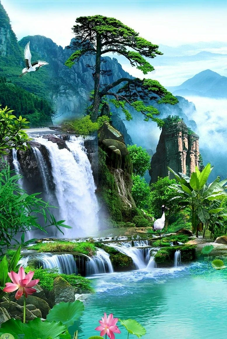 Hình nền hoa lá