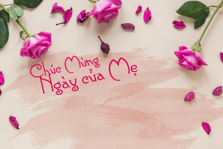Thiệp Hoa