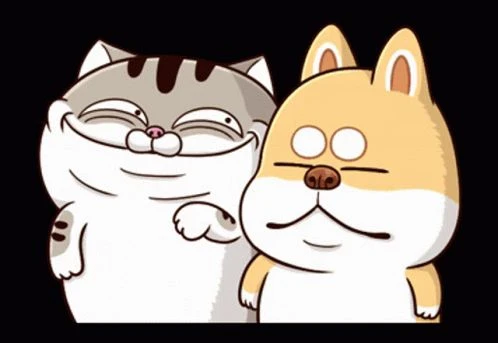 Mèo Ami bụng bự dễ thương
