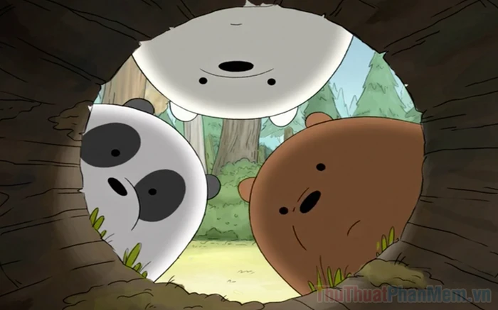 Gấu nâu cute 5