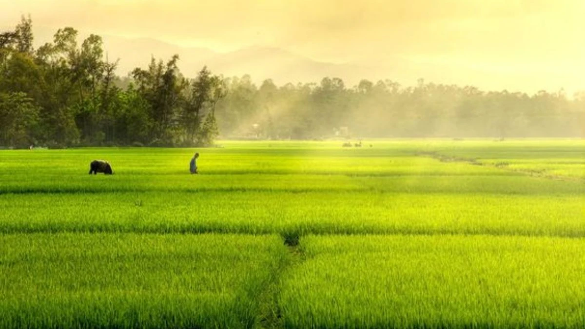 Dòng sông trong xanh