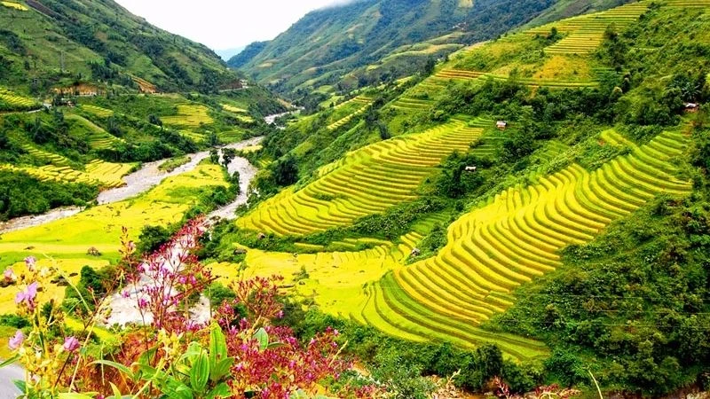 Ngôi nhà truyền thống