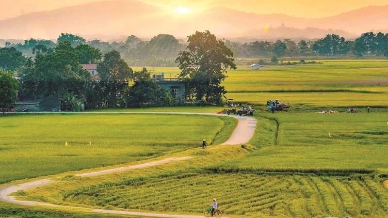 Văn hóa quê hương