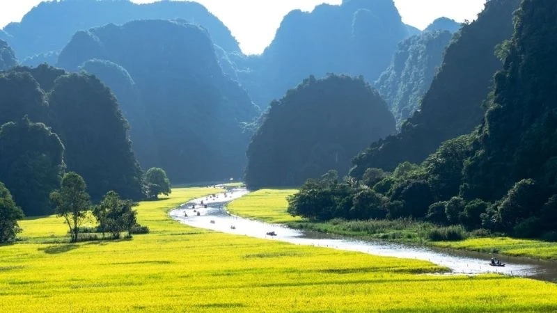 Cảnh thiên nhiên quê hương