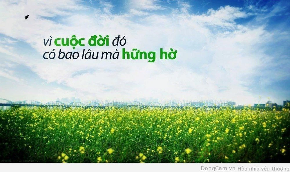 Hình nền động vật