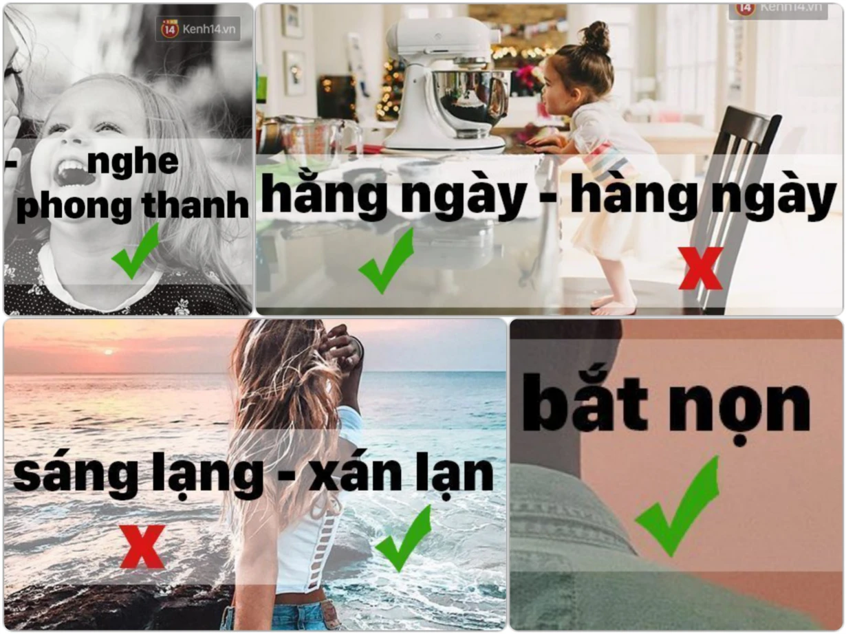 Hình ảnh tổng kết về sự khác biệt giữa xán lạn và sáng lạng