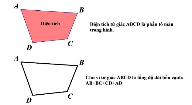Hình minh họa diện tích hình tròn