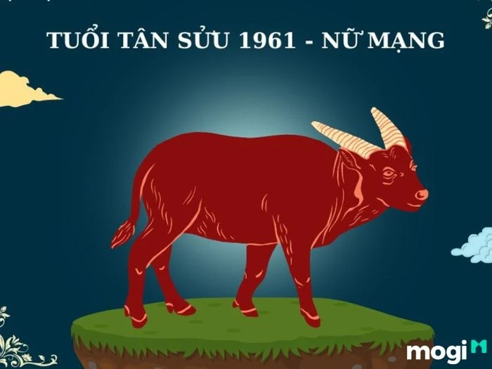 Tương lai và sự nghiệp của người sinh năm 1961