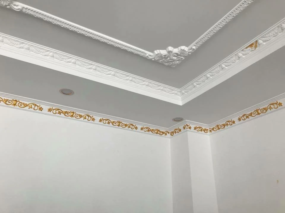 Mẫu phào chỉ cha trần