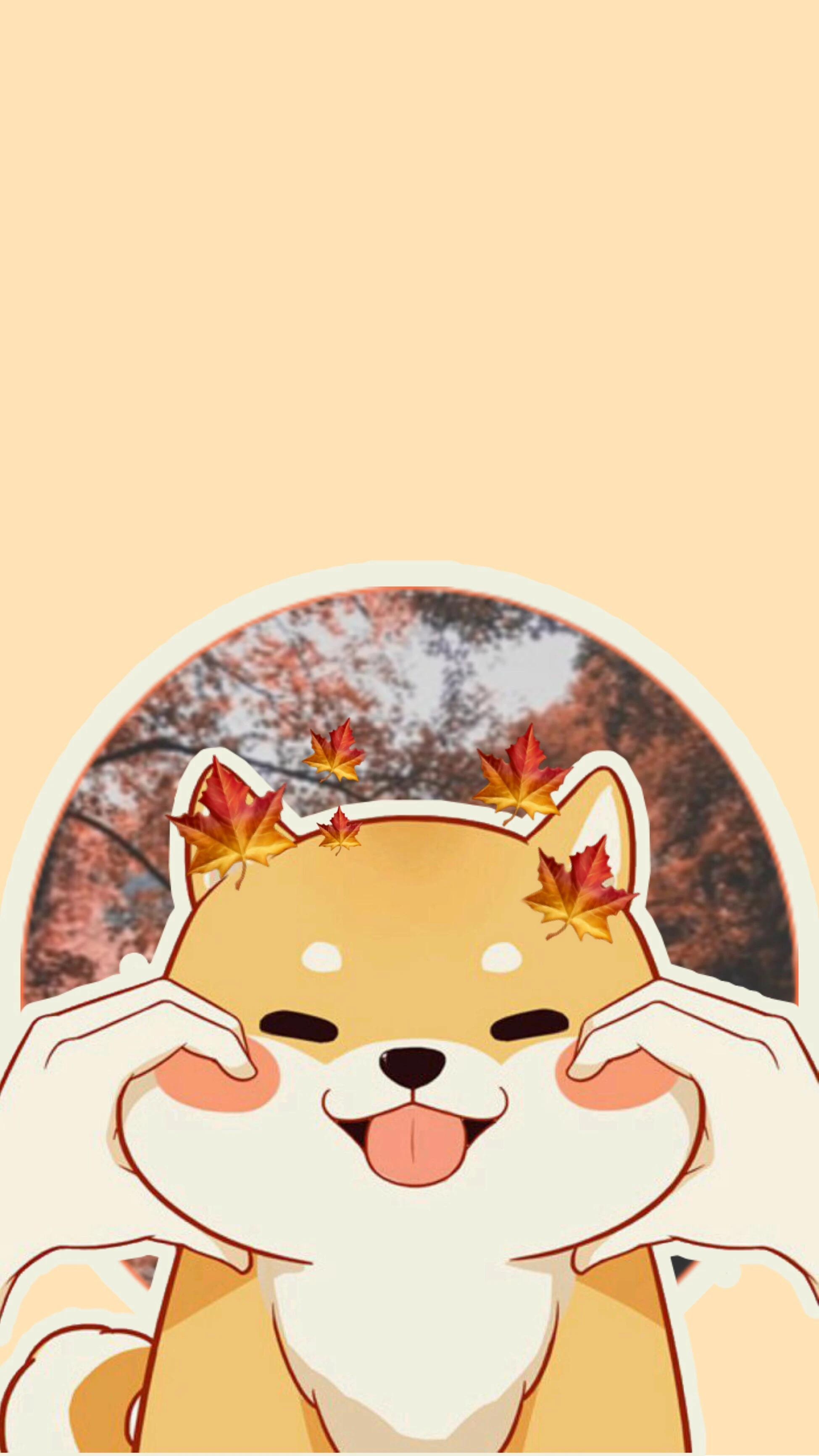 Hình nền Shiba Inu