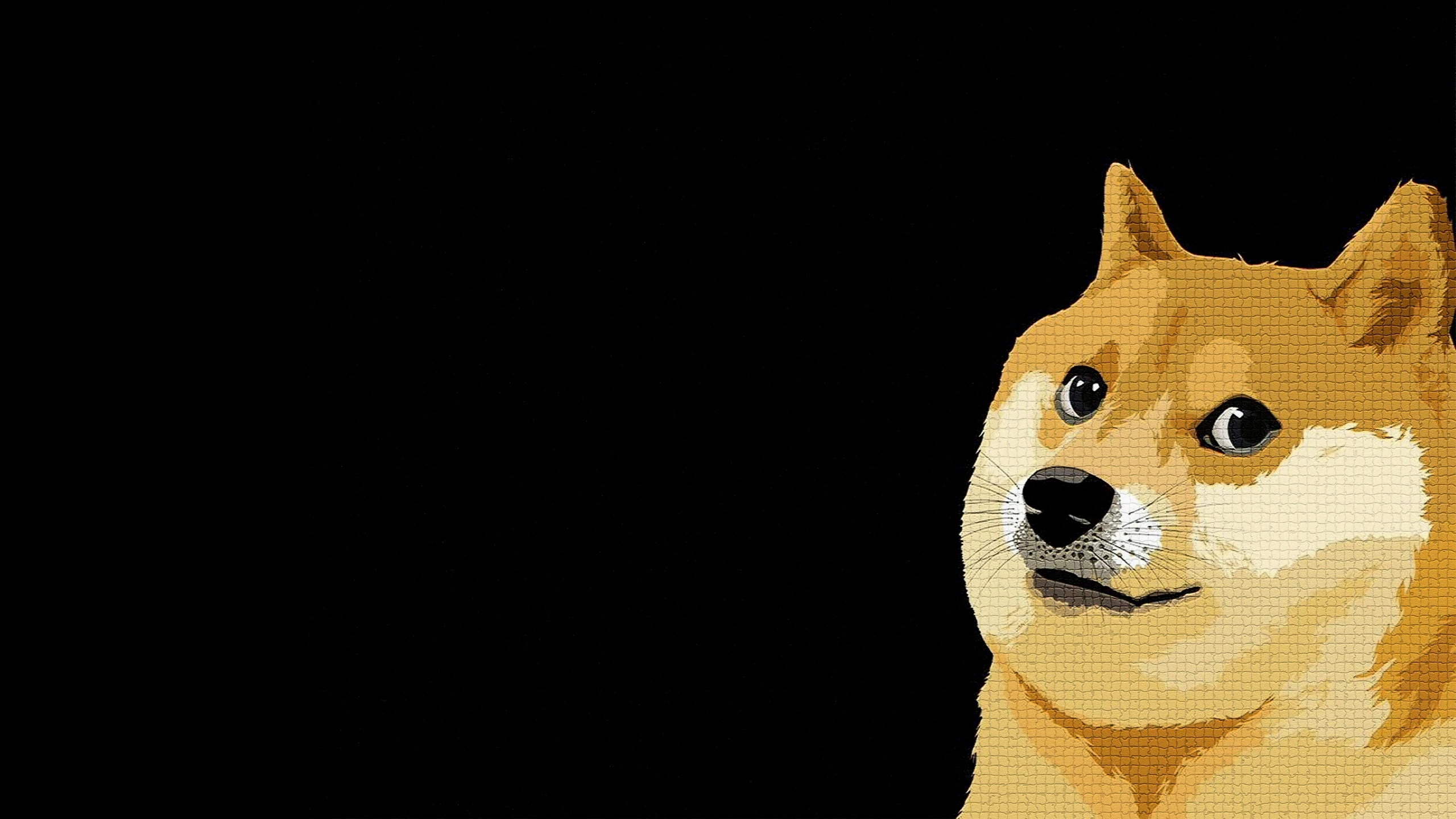 Hình nền Shiba Inu 4K