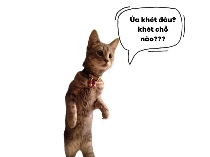 Hình ảnh khét đấy 1