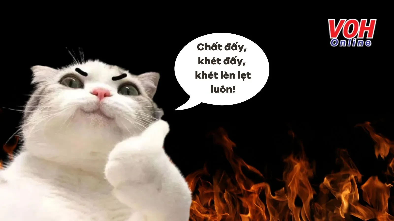 Hình ảnh khét đấy 2