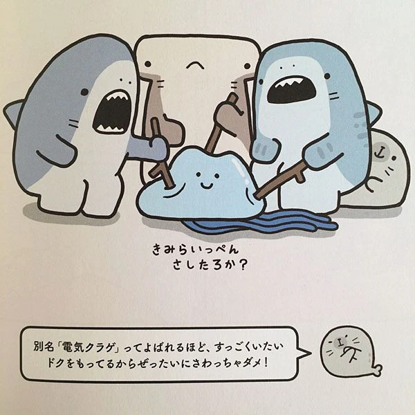 Cá mập chibi đẹp