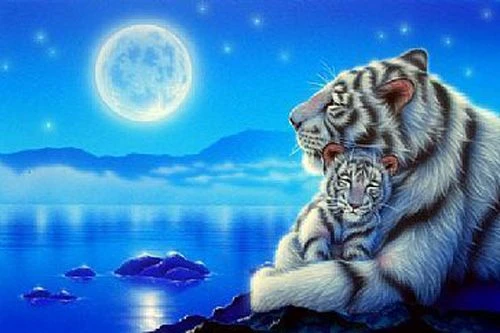 Hình ảnh con hổ 3D cute 8