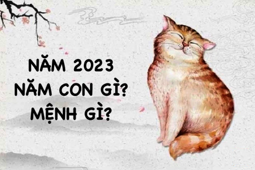 Năm 2023 là năm con gì?