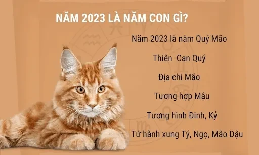 Năm 2023 mệnh gì?