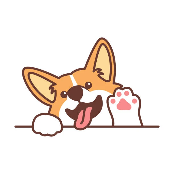 Chó Corgi dễ thương