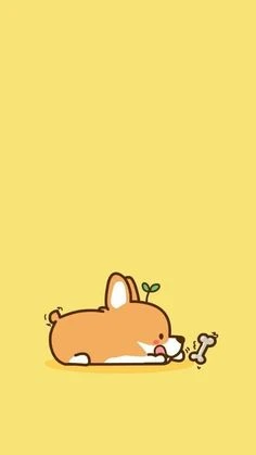 Chó Corgi ngộ nghĩnh