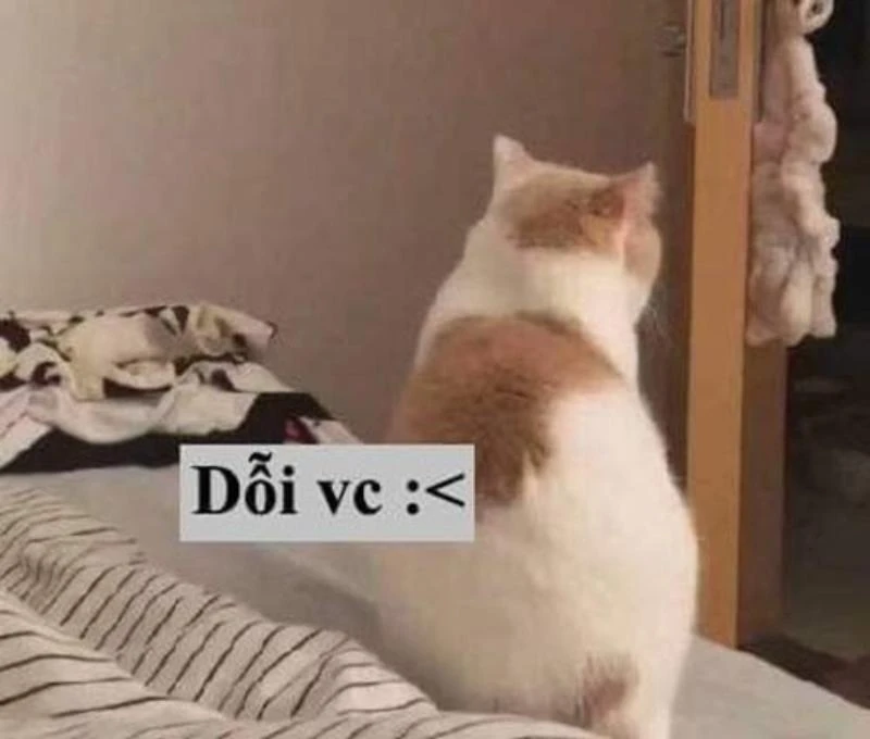 Meme dỗi hài hước