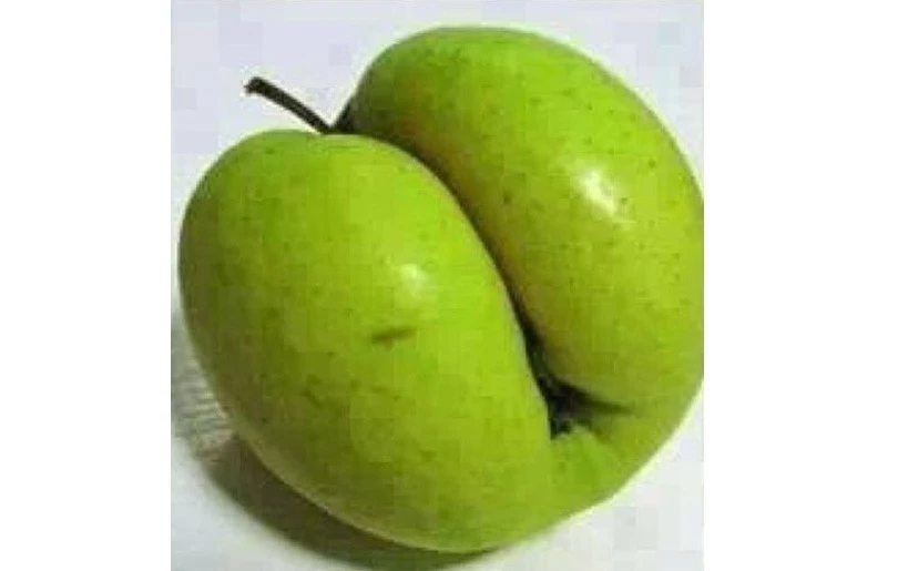 Hình ảnh khu mấn nổi tiếng ở Nghệ An