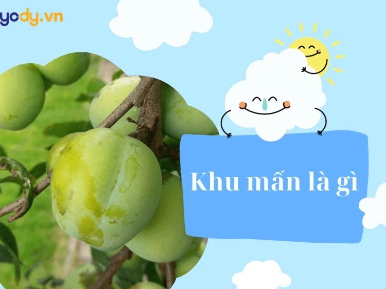 Ẩm thực truyền thống Nghệ An
