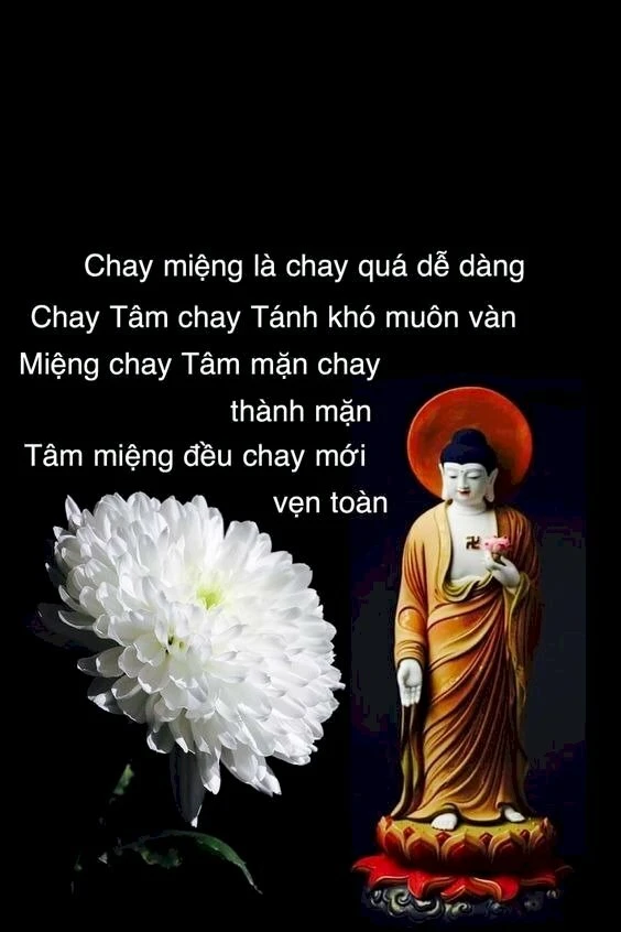 Hình ảnh Phật thể hiện thông điệp