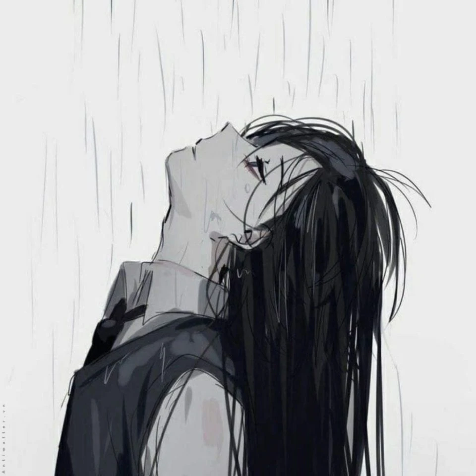 Hình ảnh 3
