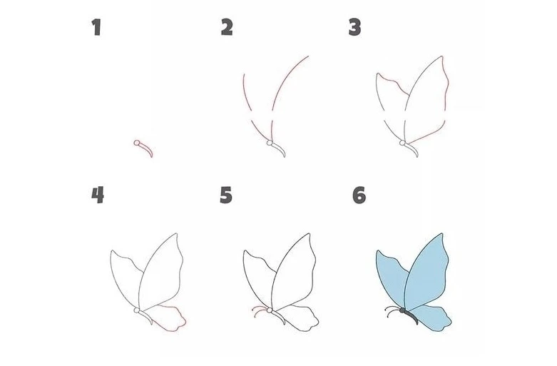 Phác thảo hình dáng bướm