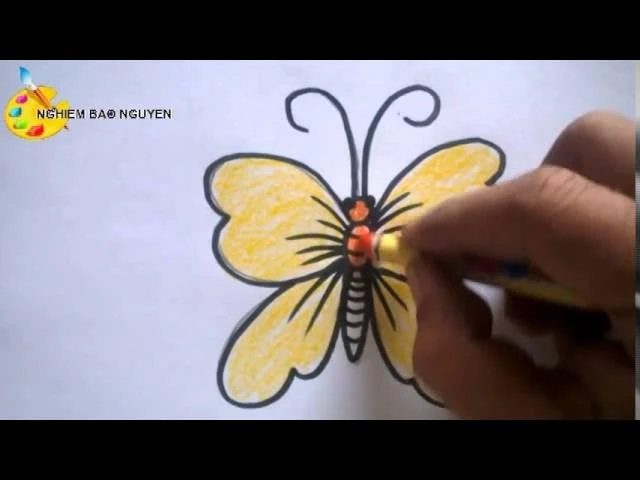 Chi tiết cơ thể bướm
