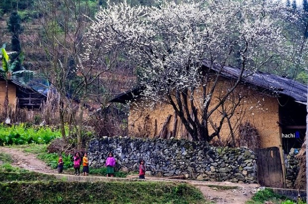 Nhiệt độ Sapa từng tháng trong năm - Đi du lịch lúc nào là thích hợp nhất?