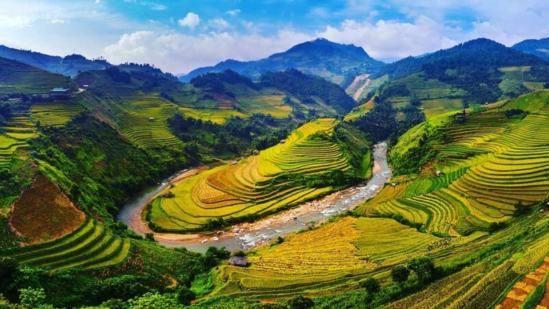 Kinh nghiệm du lịch Sapa vào tháng 10 - Săn ảnh lúa chín