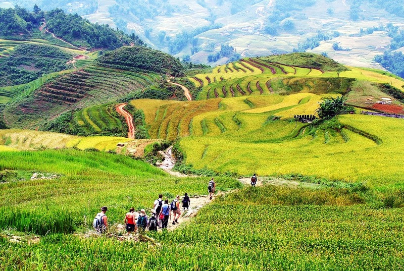 Kinh nghiệm du lịch Sapa vào tháng 10 - Săn ảnh lúa chín