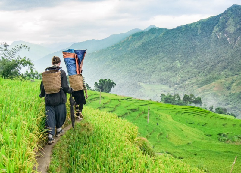 Sapa tháng 7: Cẩm nang du lịch chi tiết từ A đến Z