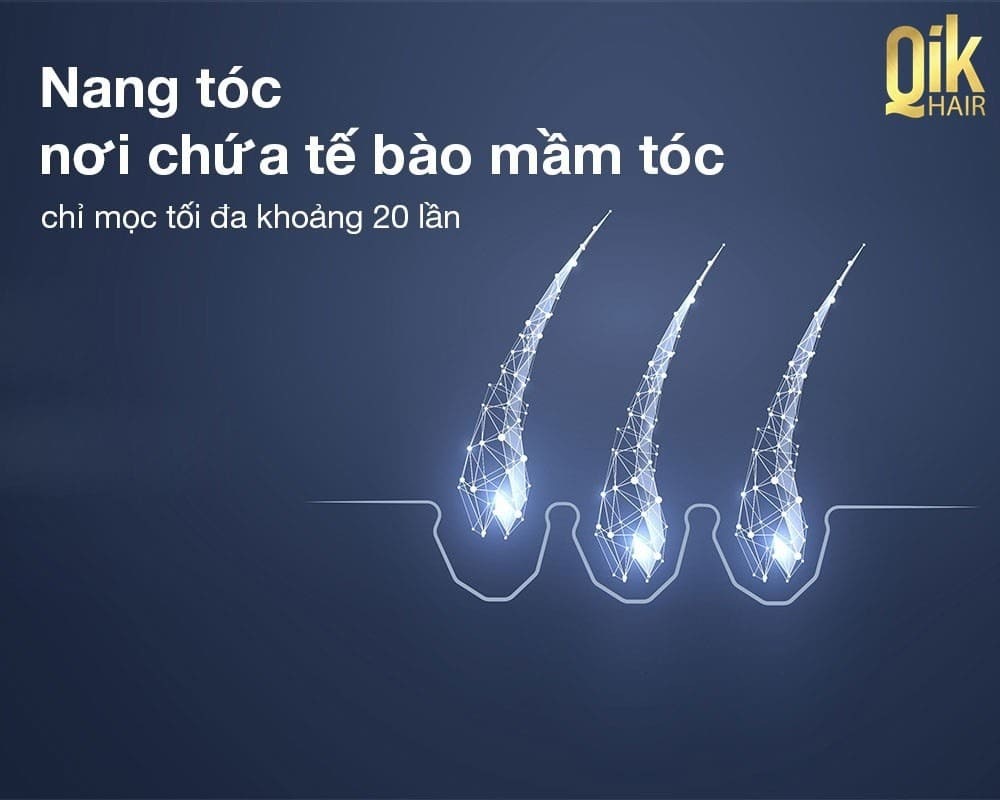 40 cách làm tóc nhanh dài và mọc dày siêu đơn giản ngay tại nhà