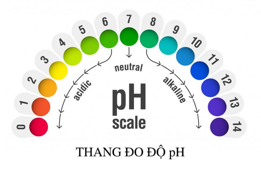 8 CÁCH CHĂM SÓC TÓC HIỆU QUẢ CHO CÔ NÀNG TÓC MỎNG