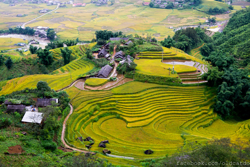 8 Trải nghiệm thú vị khi du lịch Sapa du khách nên thử qua