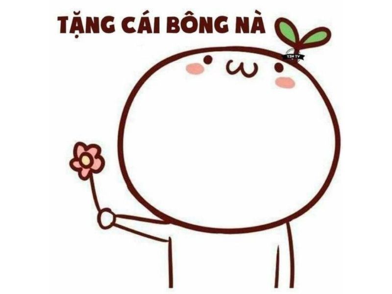 25+ ảnh meme cảm ơn cute, meme cảm ơn cà khịa cực mạnh