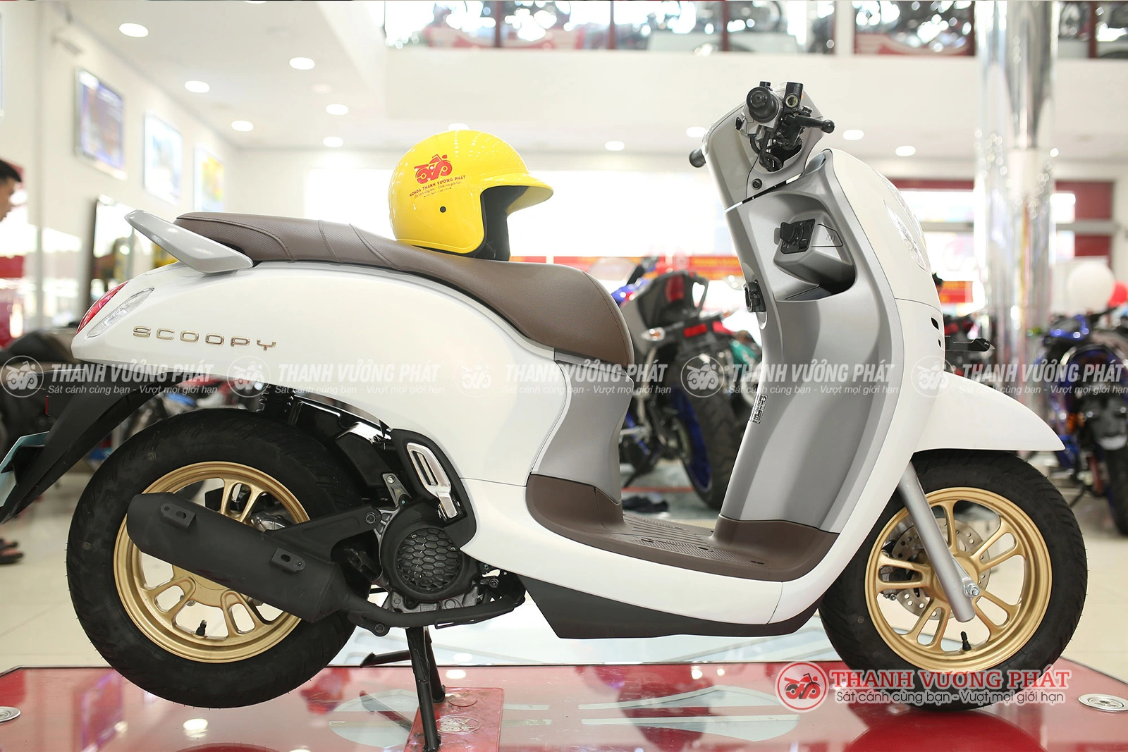 Scoopy 110 Nhập khẩu