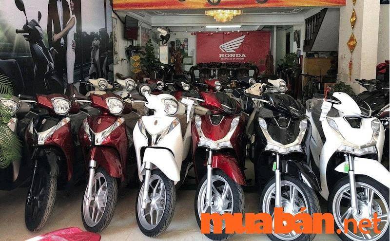 Mua Bán Xe Máy Honda Cũ Giá Rẻ, Chính Chủ T10/2024