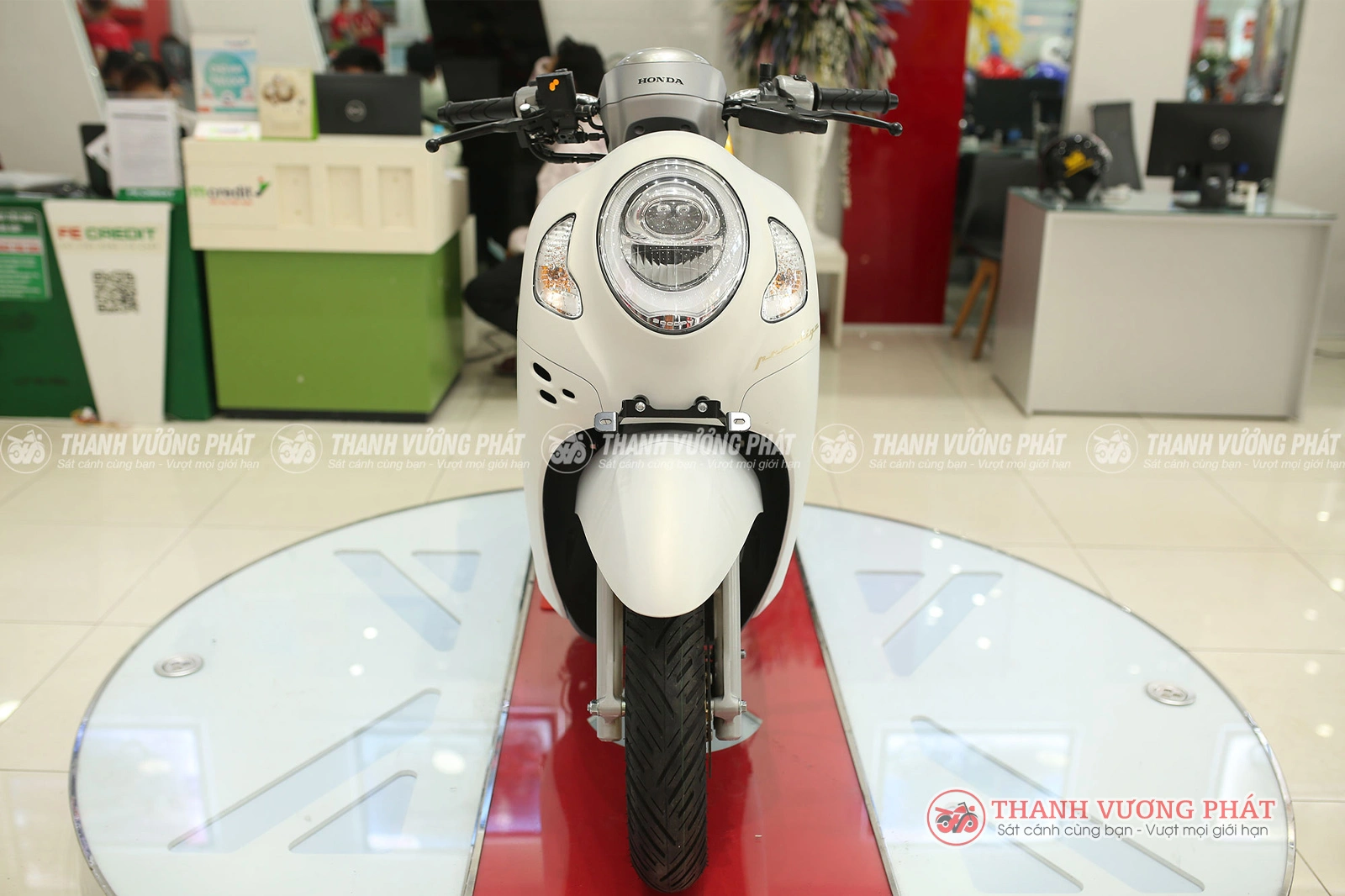 Scoopy 110 Nhập khẩu