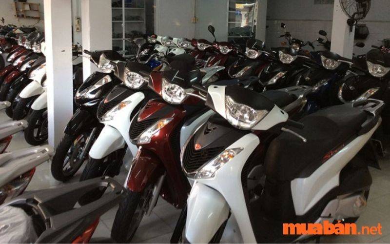 Mua Bán Xe Máy Cũ, Mới Ở Tây Ninh Giá Rẻ, Uy Tín T10/2024