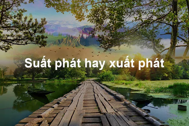 Suất cơm hay xuất cơm là đúng - [Đáp Án Chính Xác Nhất]