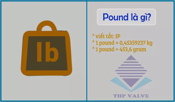 Pound to Kg? 1 pound bằng bao nhiêu kg?