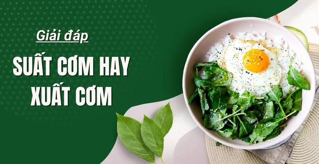 Suất cơm hay xuất cơm là đúng - [Đáp Án Chính Xác Nhất]